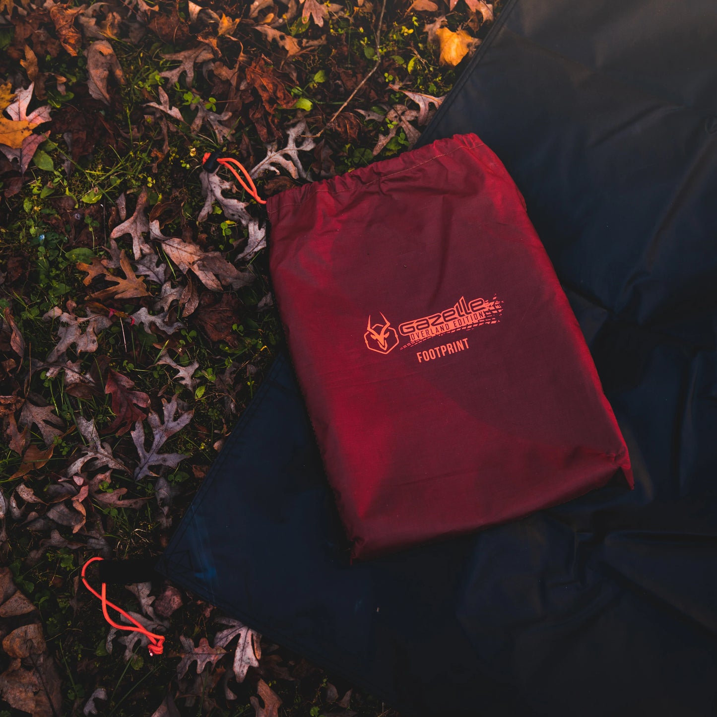 T4 Plus & T8 Footprint